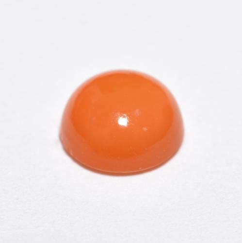 Agate orange naturelle coupe roude, 1,16 ct, translucide