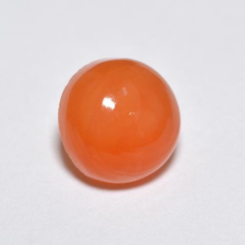 Agate orange naturelle coupe roude, 1,34 ct, translucide