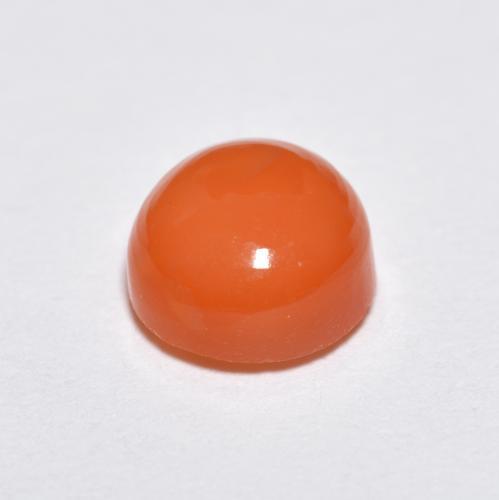 Agate orange naturelle coupe roude, 1,34 ct, translucide