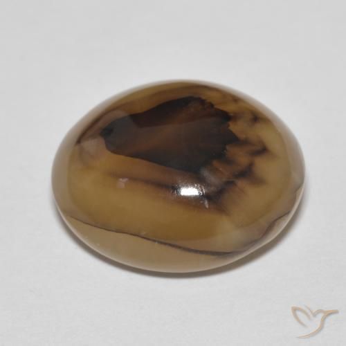 Agate Multicolore naturelle ovale, 9.50 ct, Translucide