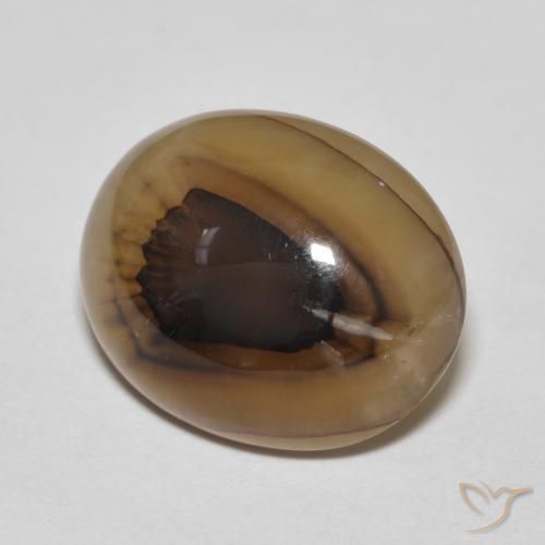 Agate Multicolore naturelle ovale, 10.67 ct, Translucide
