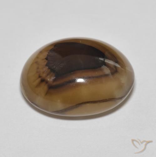 Agate Multicolore naturelle ovale, 10.67 ct, Translucide