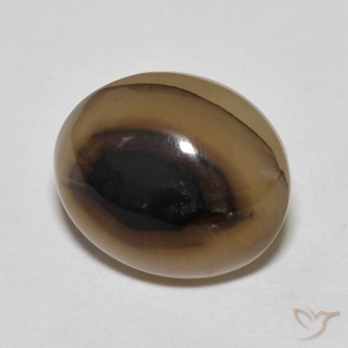 Agate Multicolore naturelle ovale, 8.49 ct, Translucide
