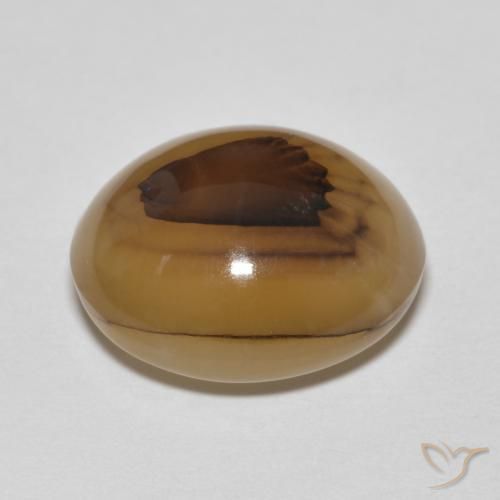 Agate Multicolore naturelle ovale, 9.19 ct, Translucide