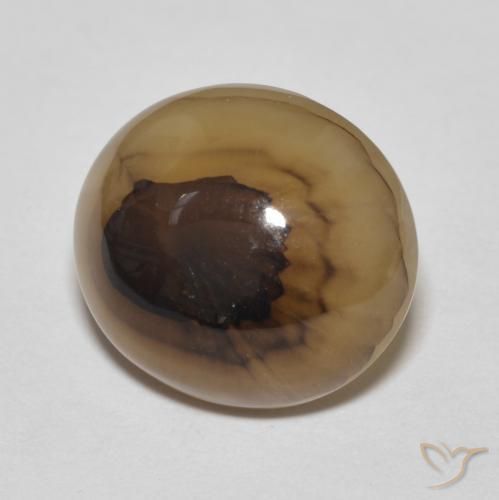 Agate Multicolore naturelle ovale, 9.70 ct, Translucide