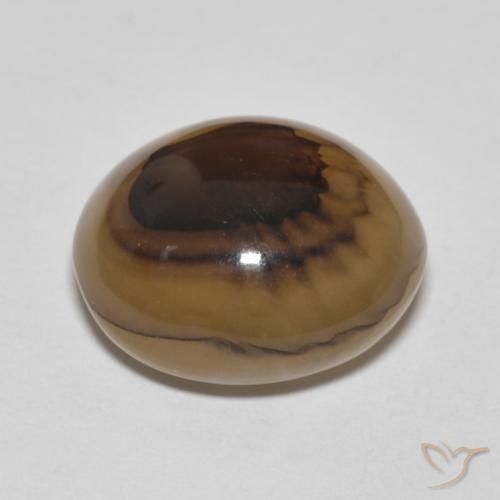 Agate Multicolore naturelle ovale, 9.70 ct, Translucide