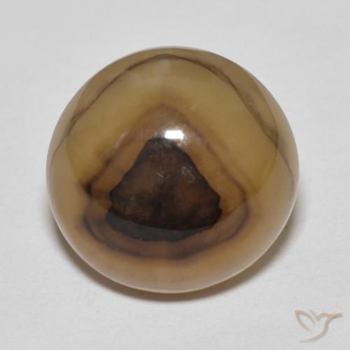 12.23ct Naturel Multicolore Agate, ovale, Translucide