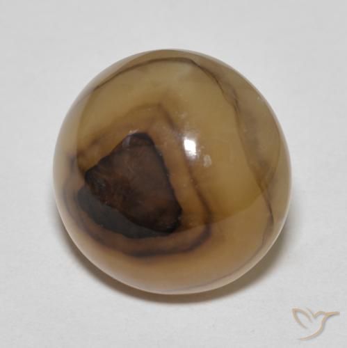 Agate Multicolore naturelle ovale, 12.23 ct, Translucide