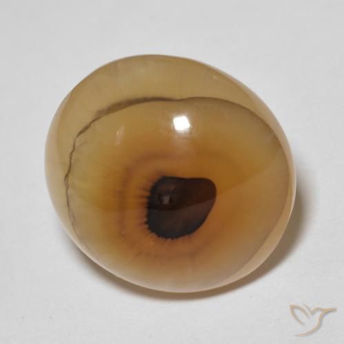Agate Multicolore naturelle ovale, 14.89 ct, Translucide
