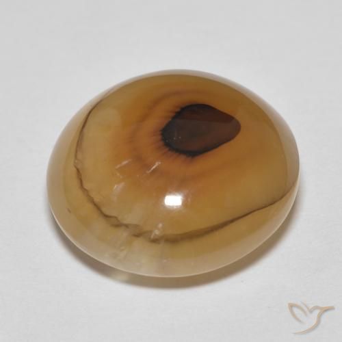 Agate Multicolore naturelle ovale, 14.89 ct, Translucide