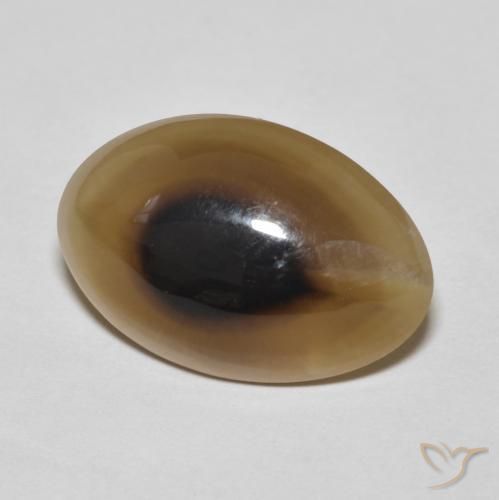 Agate Multicolore naturelle ovale, 11.43 ct, Translucide