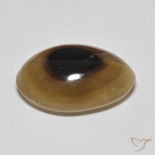 Agate Multicolore naturelle ovale, 11.43 ct, Translucide