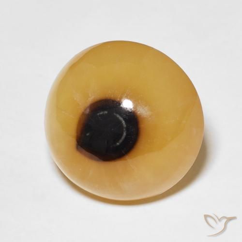 Agate Multicolore naturelle Tour, 12.47 ct, Translucide