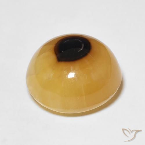 Agate Multicolore naturelle Tour, 12.47 ct, Translucide