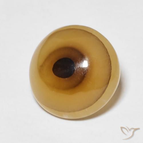 Agate Multicolore naturelle ovale, 5.38 ct, Translucide