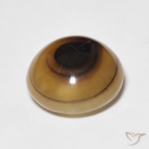 Agate Multicolore naturelle ovale, 8.82 ct, Translucide