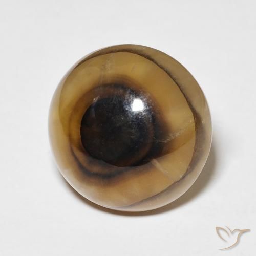 Agate Multicolore naturelle Tour, 11.72 ct, Translucide