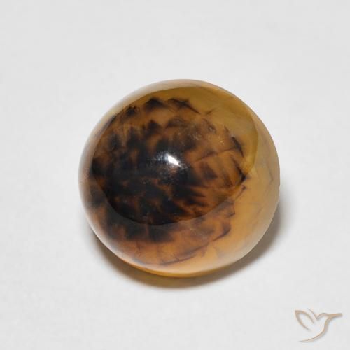 Agate Multicolore naturelle Tour, 4.35 ct, Translucide