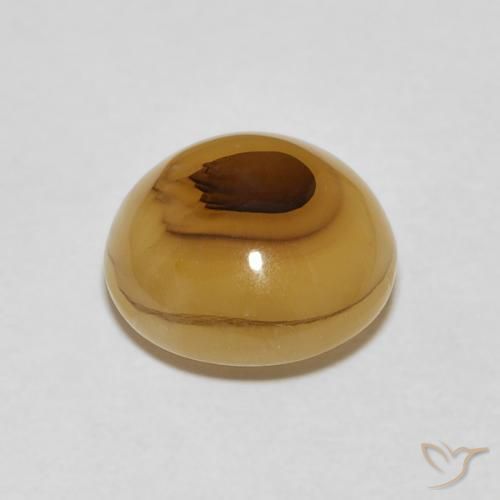 Agate Multicolore naturelle Tour, 4.21 ct, Translucide