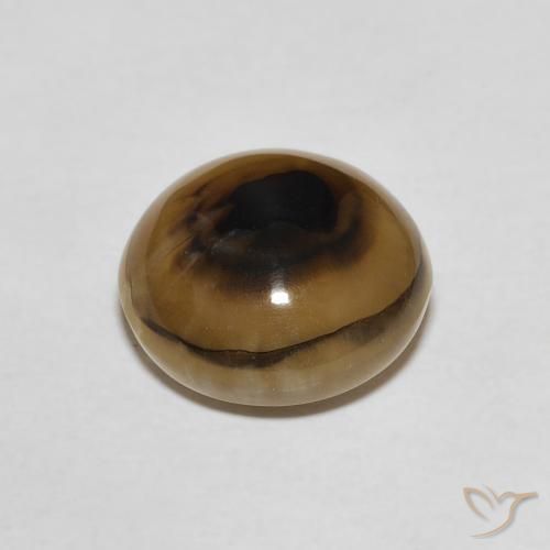 Agate Multicolore naturelle Tour, 7.46 ct, Translucide