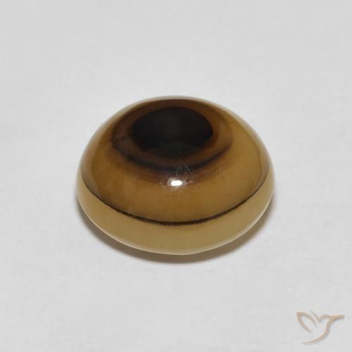 Agate Multicolore naturelle ovale, 7.21 ct, Translucide