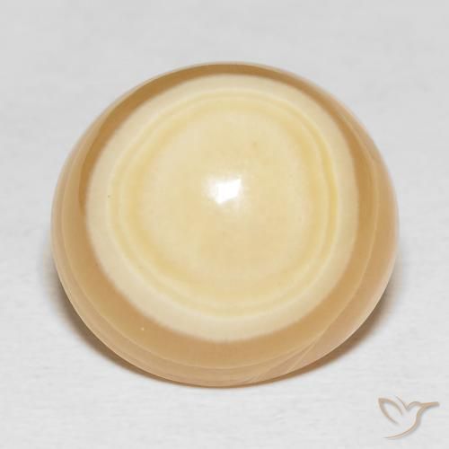 27.80ct Naturel Multicolore Agate, ovale, Opaque
