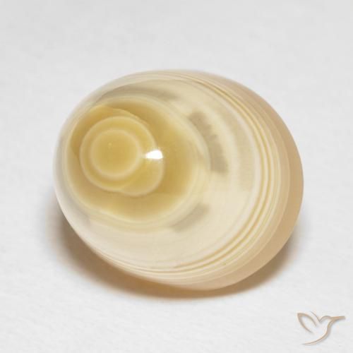 Agate Multicolore naturelle Tour, 16.65 ct, Opaque