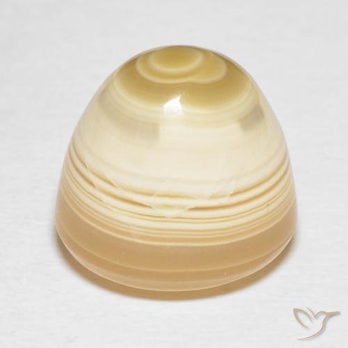 Agate Multicolore naturelle Tour, 16.65 ct, Opaque