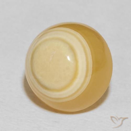 Agate Multicolore naturelle Tour, 13.59 ct, Opaque