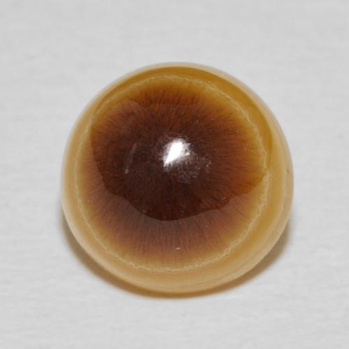 Agate Multicolore naturelle Tour, 5.91 ct, Opaque