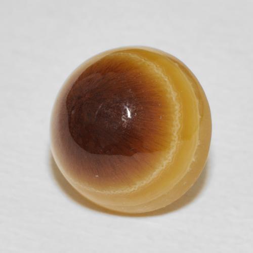 Agate Multicolore naturelle Tour, 5.91 ct, Opaque