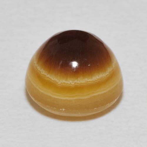 Agate Multicolore naturelle Tour, 5.91 ct, Opaque