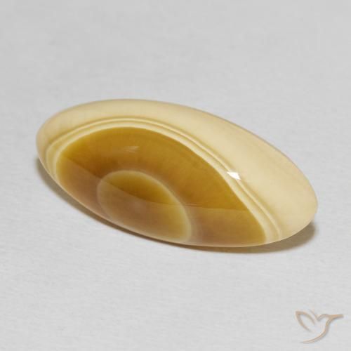 Agate Multicolore naturelle Marquise, 14.81 ct, Opaque