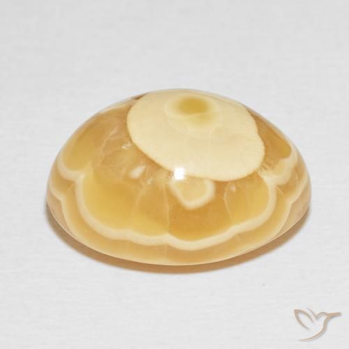 Agate Multicolore naturelle ovale, 20.91 ct, Opaque