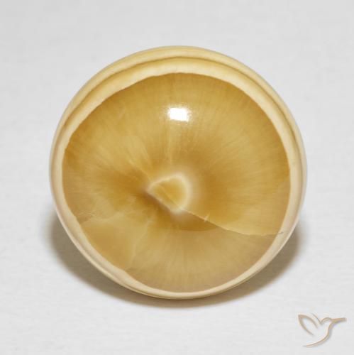 Agate Multicolore naturelle Tour, 19.82 ct, Opaque