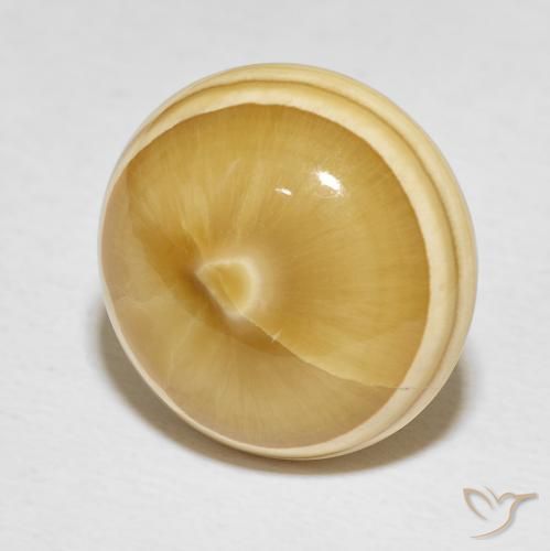 Agate Multicolore naturelle Tour, 19.82 ct, Opaque