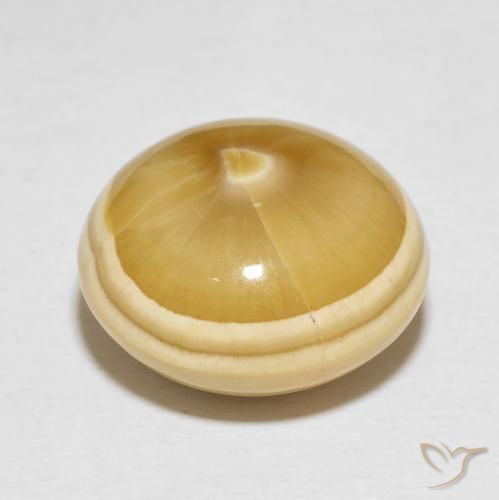Agate Multicolore naturelle Tour, 19.82 ct, Opaque