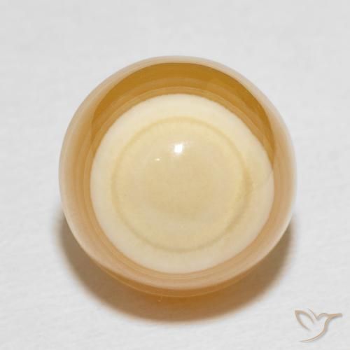 Agate Multicolore naturelle Tour, 14.04 ct, Opaque