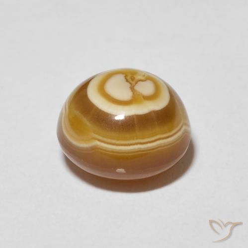 Agate Multicolore naturelle Tour, 8.27 ct, Opaque