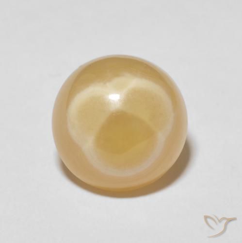 Agate Multicolore naturelle Tour, 10.61 ct, Opaque