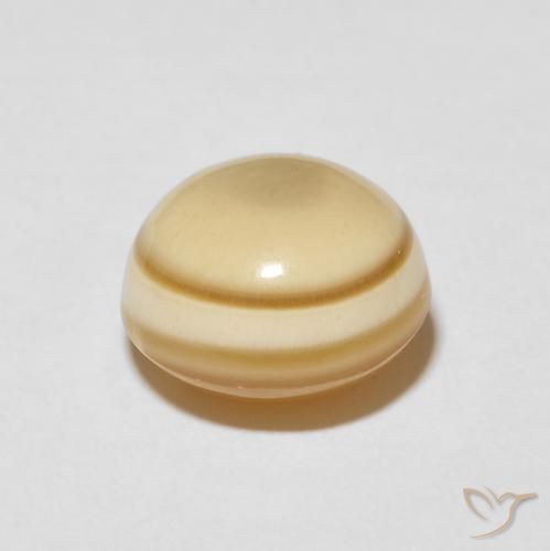 Agate Multicolore naturelle Tour, 8.67 ct, Opaque