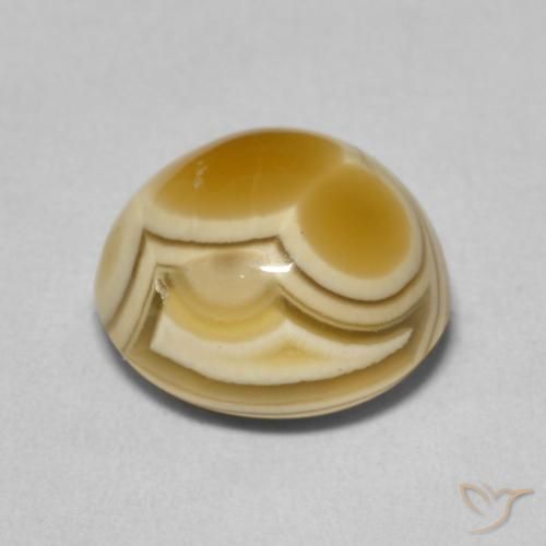 Agate Multicolore naturelle Tour, 6.55 ct, Opaque