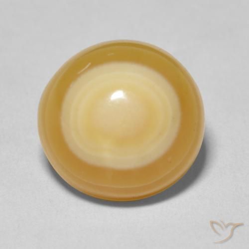 9.97ct Naturel Multicolore Agate, ovale, Opaque, Photo A
