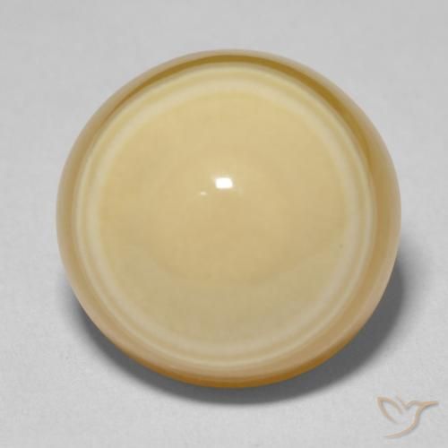 Agate Multicolore naturelle Tour, 19.32 ct, Opaque
