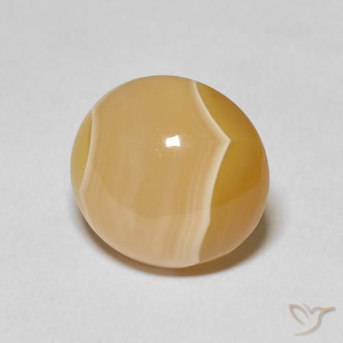 Agate Multicolore naturelle Tour, 16.41 ct, Opaque