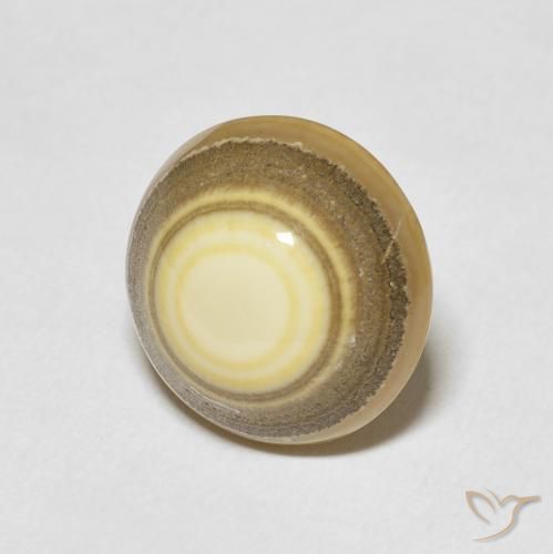 Agate Multicolore naturelle Tour, 10.03 ct, Opaque