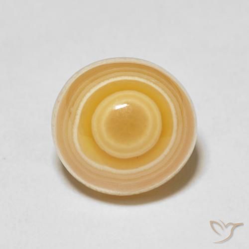 Agate Multicolore naturelle ovale, 8.87 ct, Opaque