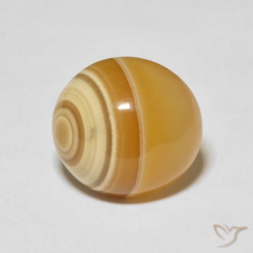 10.22ct Naturel Multicolore Agate, ovale, Opaque