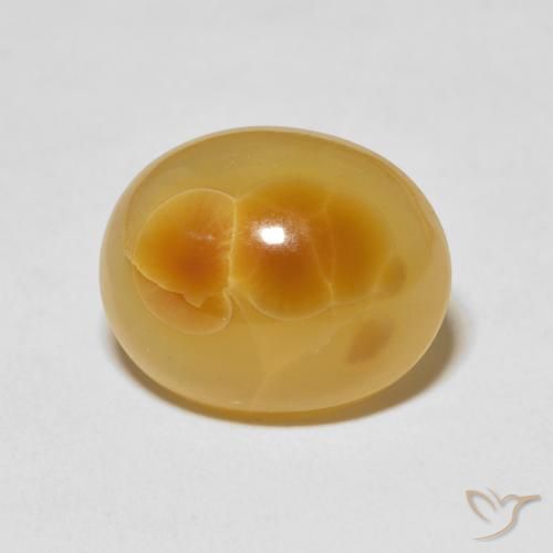 Agate Multicolore naturelle ovale, 14.40 ct, Opaque