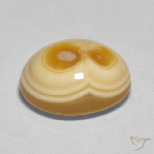 Agate Multicolore naturelle ovale, 8.91 ct, Opaque